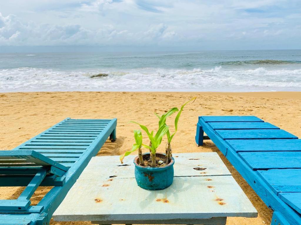 Ramya Ru Beach Home Galle Exterior photo